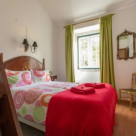 Palacio Vila Flor ליסבון