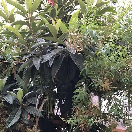 Palacio Vila Flor 게스트하우스 리스본